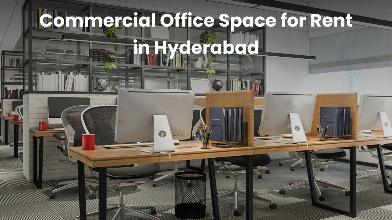 WhatsApp Image 2026-01-19 at 12.01.48 PM